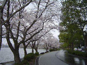 介護事業所デイサービスのなかよしの森